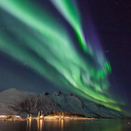 Arctic City Studio - Perfectly Located In The Main Street Tromsø Kültér fotó
